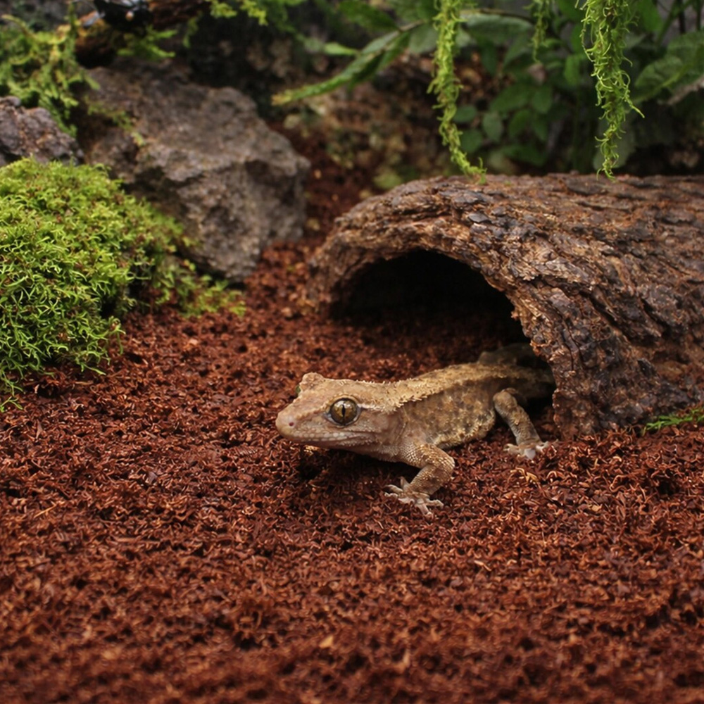 Happet Podłoże Kokosowe Coco Loose 10L Luźne do Terrarium dla Gadów Płazów